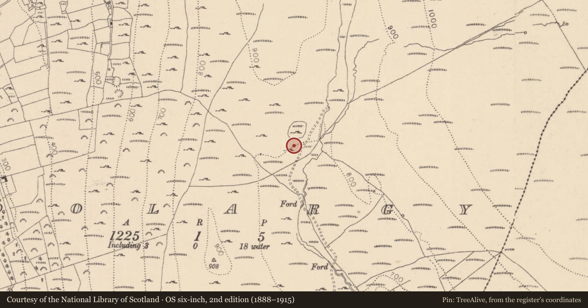 Ordnance Survey six-inch map, 2nd edition (1888–1915) covering the location of Field system, Doolargy, County Louth, with a pin at the register's coordinates