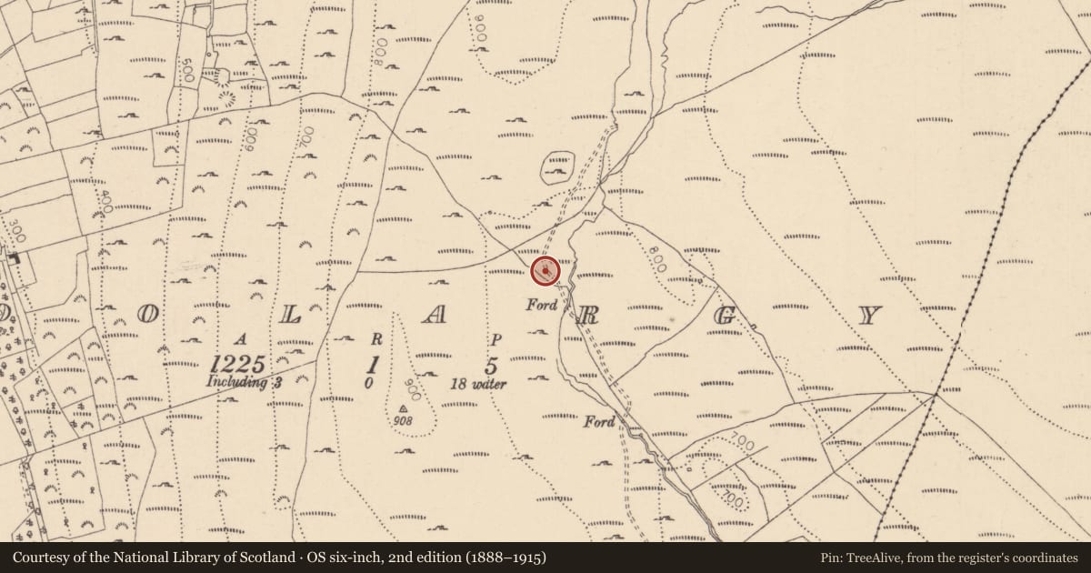 Ordnance Survey six-inch map, 2nd edition (1888–1915) covering the location of Hut site, Doolargy, County Louth, with a pin at the register's coordinates