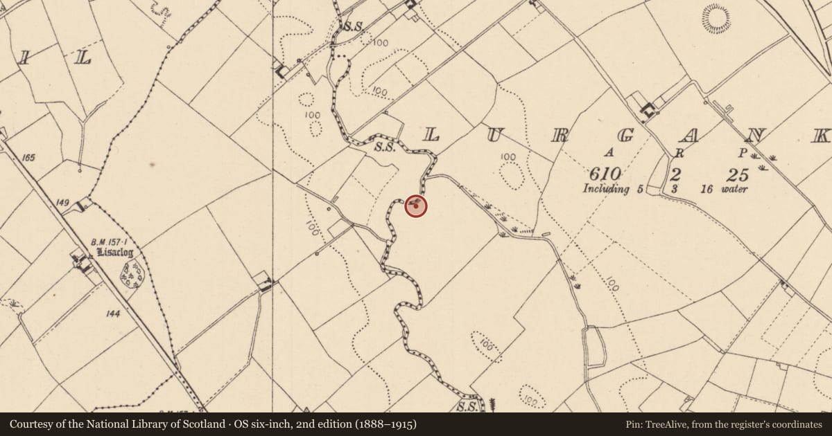 Ordnance Survey six-inch map, 2nd edition (1888–1915) covering the location of Souterrain, Lurgankeel, County Louth, with a pin at the register's coordinates
