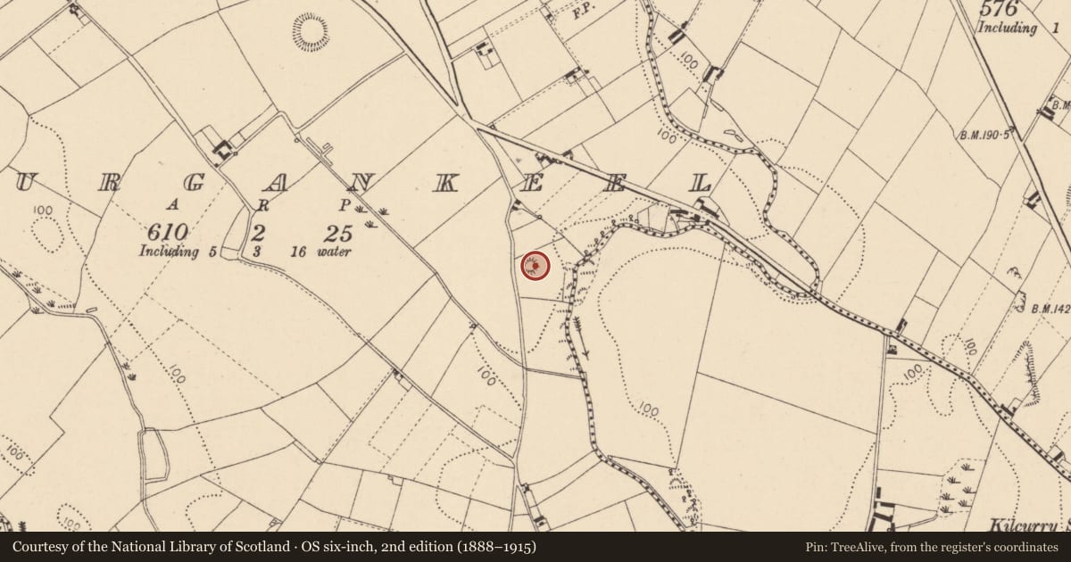 Ordnance Survey six-inch map, 2nd edition (1888–1915) covering the location of Castle - motte and bailey, Lurgankeel, County Louth, with a pin at the register's coordinates
