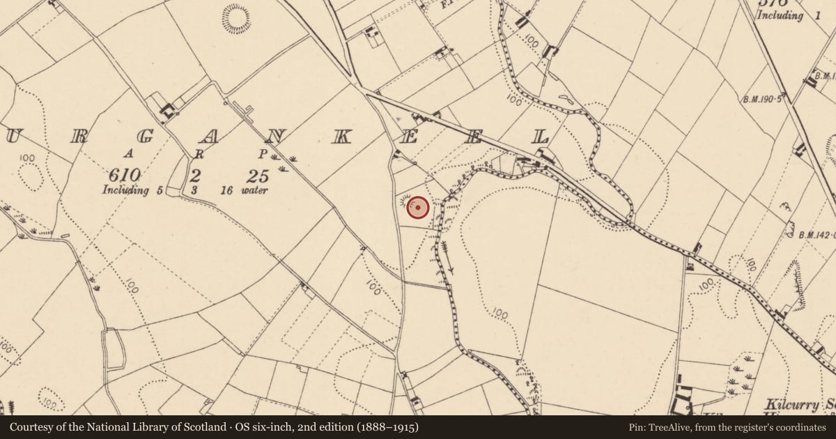 Ordnance Survey six-inch map, 2nd edition (1888–1915) covering the location of Mound, Lurgankeel, County Louth, with a pin at the register's coordinates