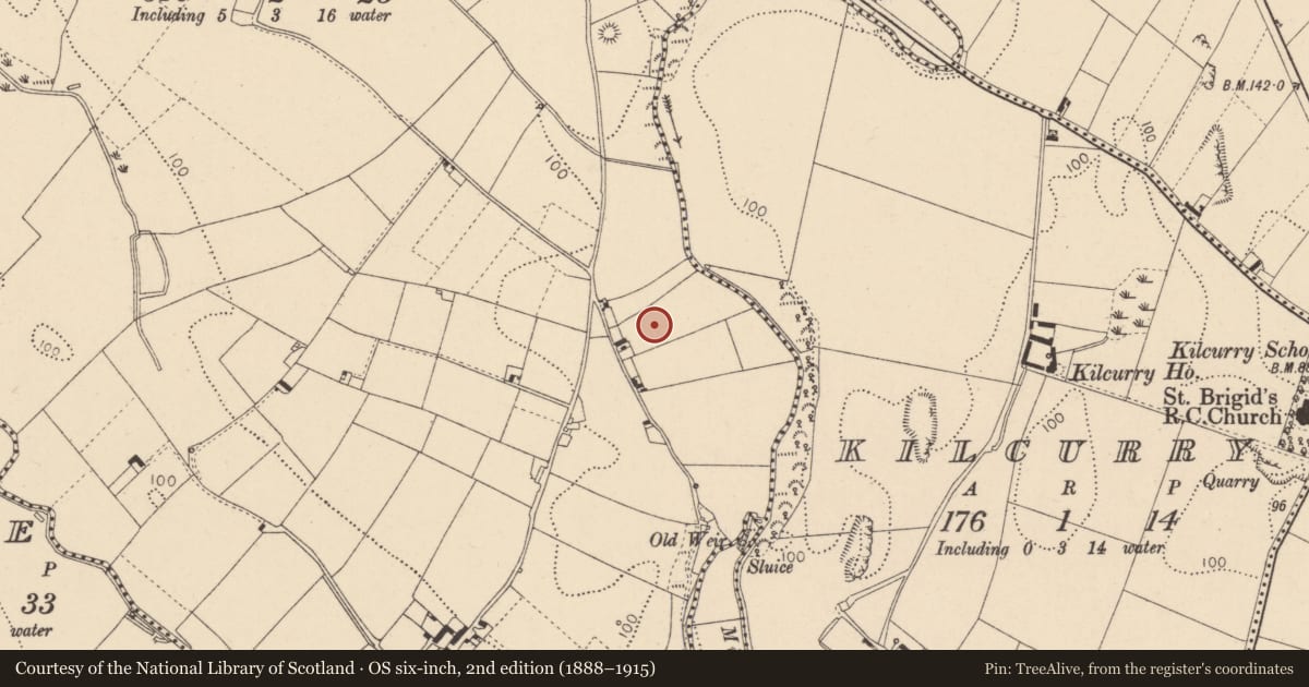 Ordnance Survey six-inch map, 2nd edition (1888–1915) covering the location of Megalithic tomb - portal tomb, Lurgankeel, County Louth, with a pin at the register's coordinates