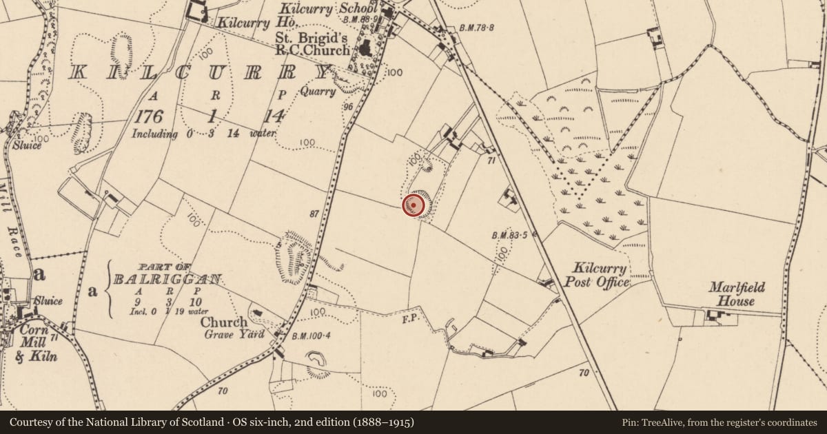 Ordnance Survey six-inch map, 2nd edition (1888–1915) covering the location of Ringfort - rath, Balriggan, County Louth, with a pin at the register's coordinates