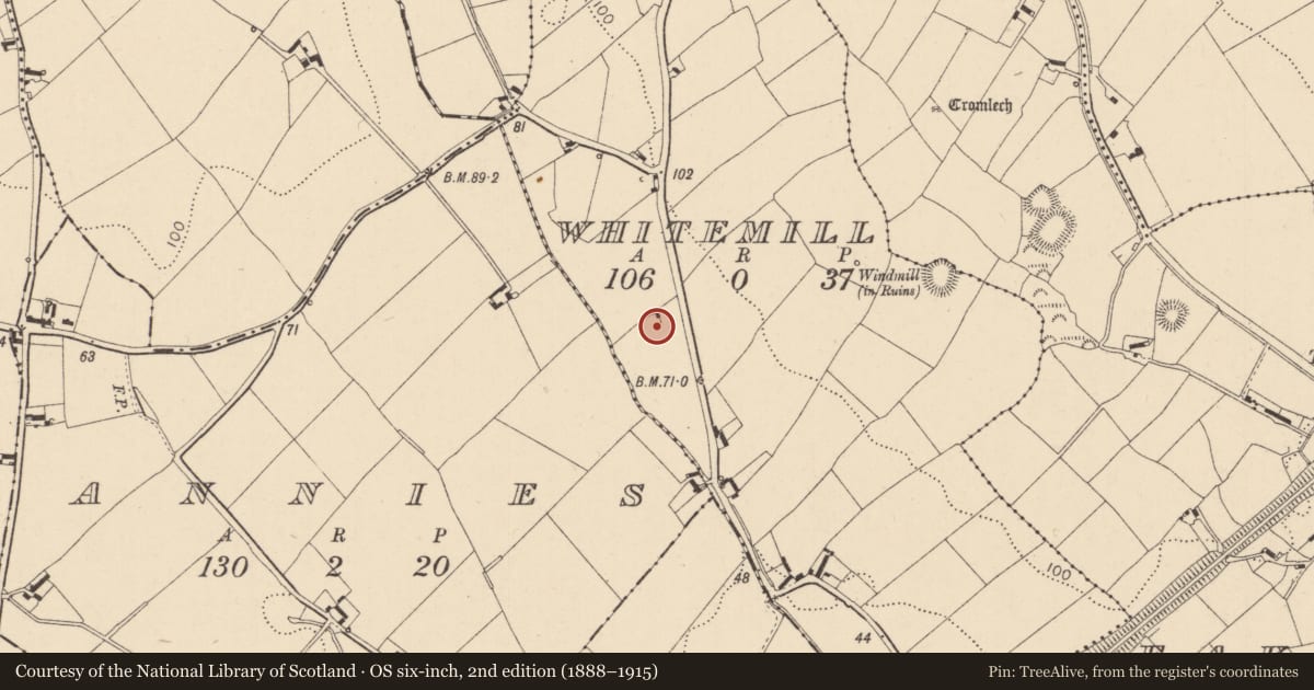 Ordnance Survey six-inch map, 2nd edition (1888–1915) covering the location of Ringfort - rath, Whitemill, County Louth, with a pin at the register's coordinates