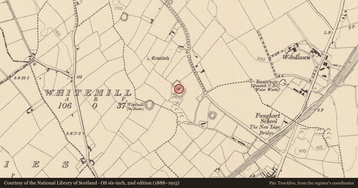 Ordnance Survey six-inch map, 2nd edition (1888–1915) covering the location of Enclosure, Faughart Lower, County Louth, with a pin at the register's coordinates
