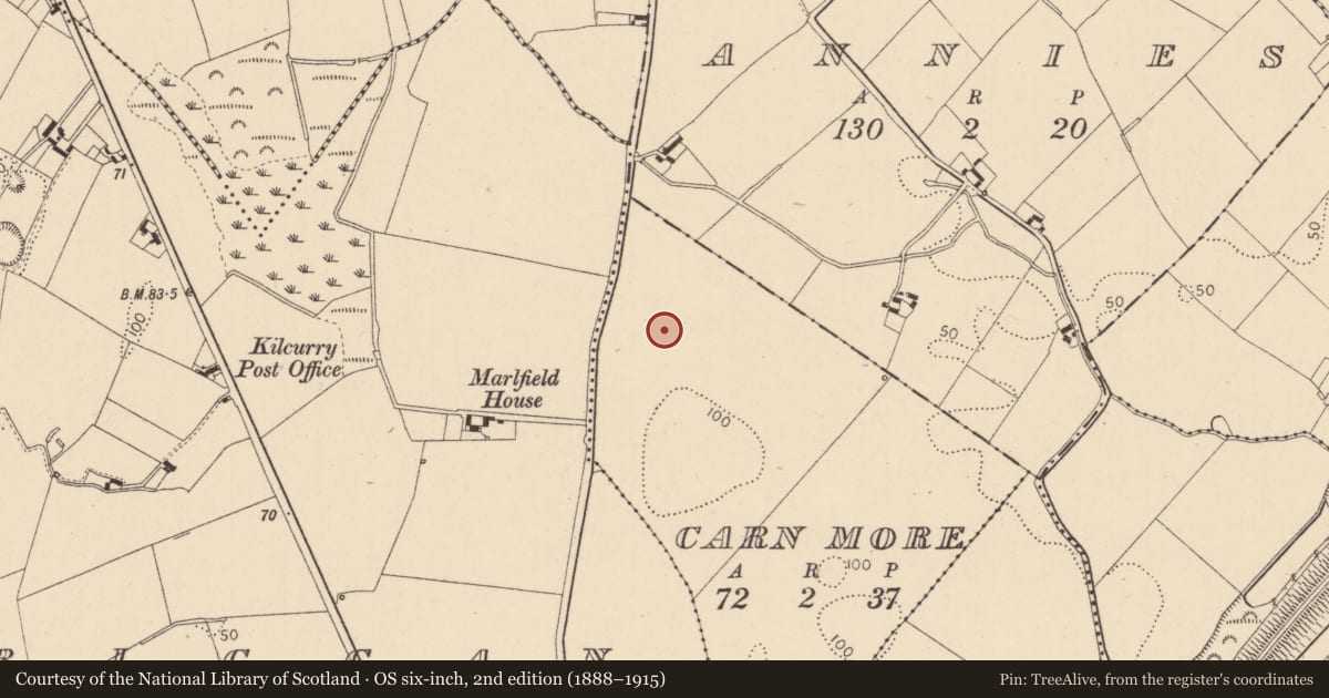 Ordnance Survey six-inch map, 2nd edition (1888–1915) covering the location of Enclosure, Carn More, County Louth, with a pin at the register's coordinates