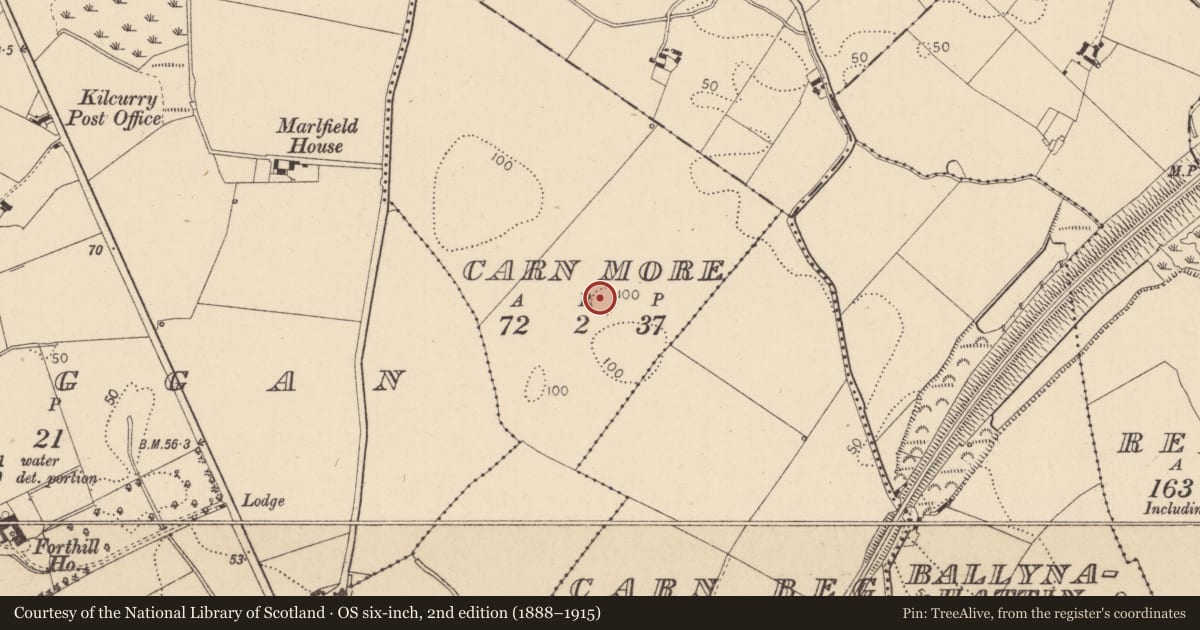 Ordnance Survey six-inch map, 2nd edition (1888–1915) covering the location of Ringfort - rath, Carn More, County Louth, with a pin at the register's coordinates