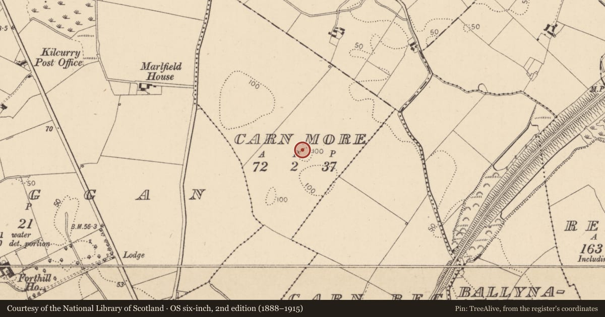 Ordnance Survey six-inch map, 2nd edition (1888–1915) covering the location of Souterrain, Carn More, County Louth, with a pin at the register's coordinates