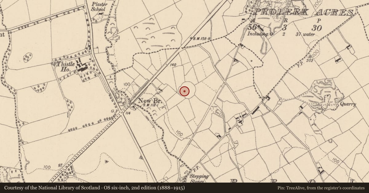 Ordnance Survey six-inch map, 2nd edition (1888–1915) covering the location of Slab-lined burial, Proleek, County Louth, with a pin at the register's coordinates