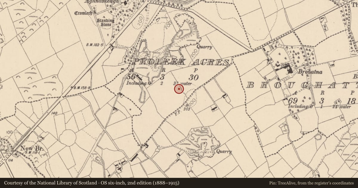 Ordnance Survey six-inch map, 2nd edition (1888–1915) covering the location of Souterrain, Proleek Acres, County Louth, with a pin at the register's coordinates