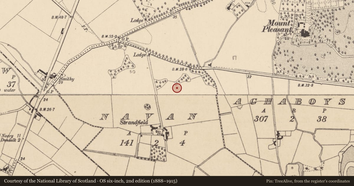 Ordnance Survey six-inch map, 2nd edition (1888–1915) covering the location of Souterrain, Navan, County Louth, with a pin at the register's coordinates