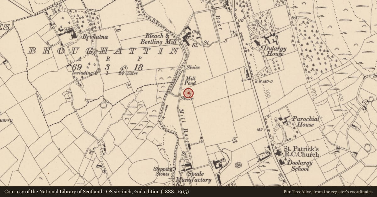 Ordnance Survey six-inch map, 2nd edition (1888–1915) covering the location of Watchtower, Doolargy, County Louth, with a pin at the register's coordinates