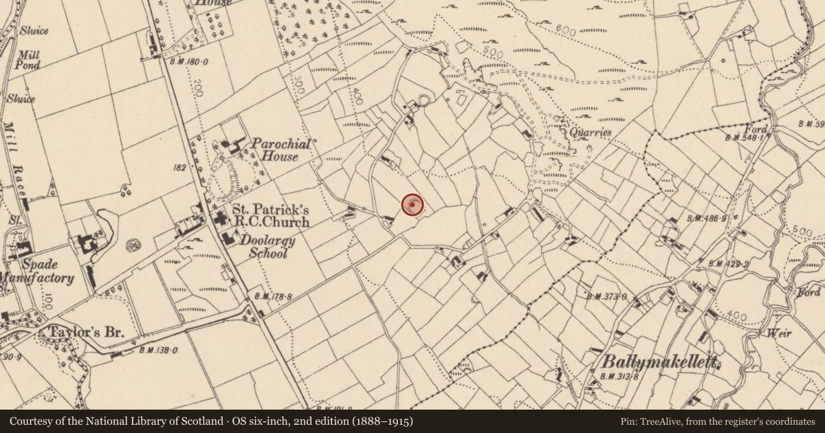 Ordnance Survey six-inch map, 2nd edition (1888–1915) covering the location of Ringfort - rath, Doolargy, County Louth, with a pin at the register's coordinates