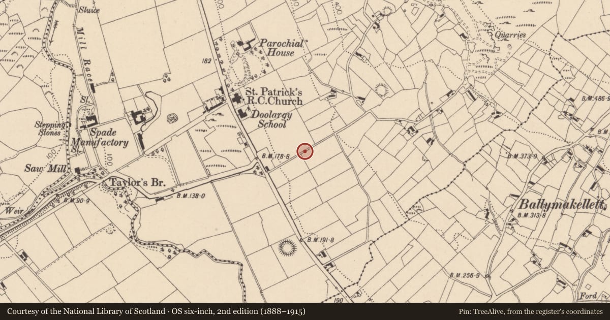 Ordnance Survey six-inch map, 2nd edition (1888–1915) covering the location of Souterrain, Doolargy, County Louth, with a pin at the register's coordinates