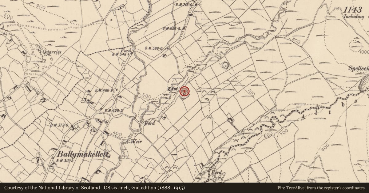 Ordnance Survey six-inch map, 2nd edition (1888–1915) covering the location of Ringfort - rath, Ballymakellett, County Louth, with a pin at the register's coordinates
