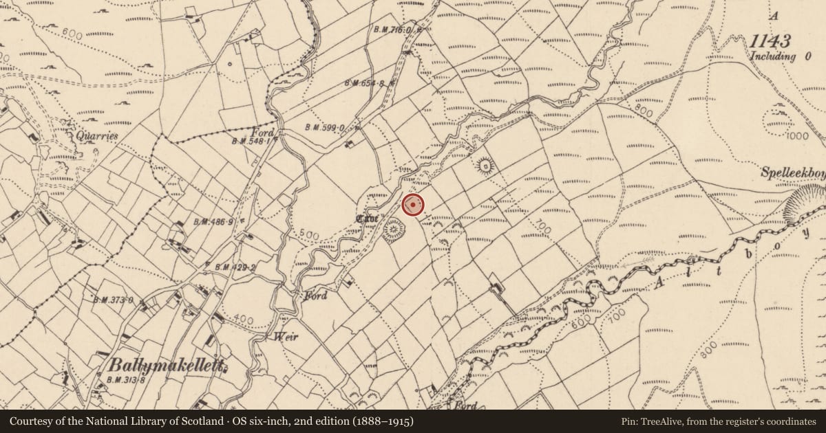 Ordnance Survey six-inch map, 2nd edition (1888–1915) covering the location of Metalworking site, Ballymakellett, County Louth, with a pin at the register's coordinates
