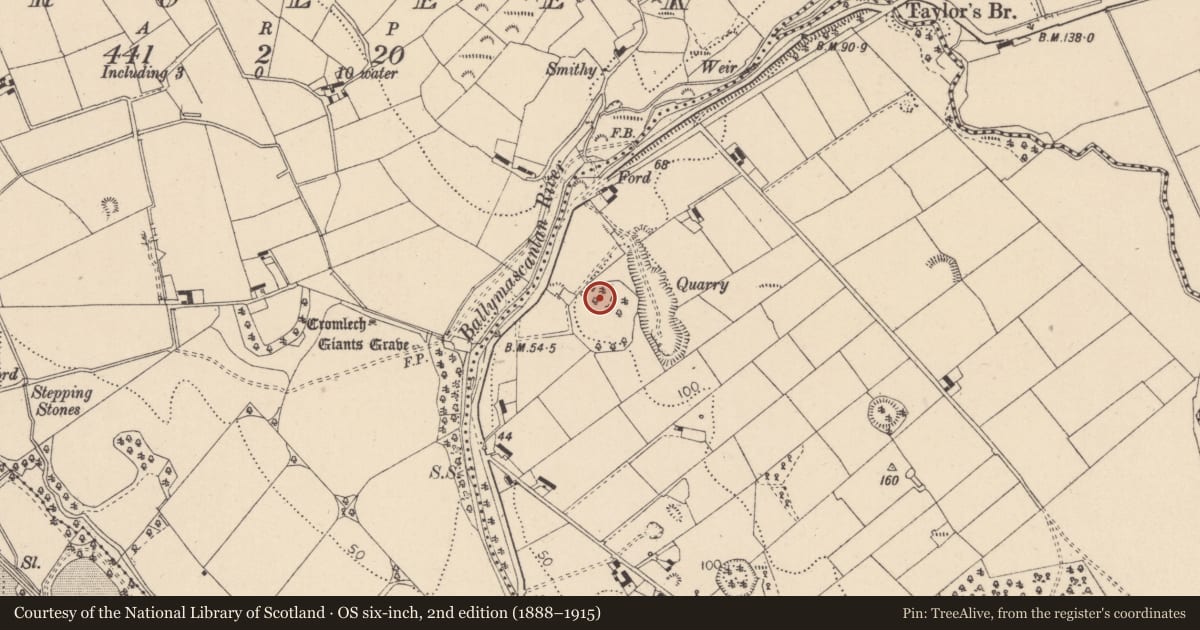 Ordnance Survey six-inch map, 2nd edition (1888–1915) covering the location of Ringfort - rath, Bellurgan (Dundalk Lwr by, County Louth, with a pin at the register's coordinates
