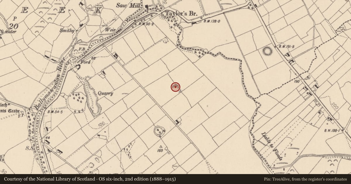 Ordnance Survey six-inch map, 2nd edition (1888–1915) covering the location of Ringfort - rath, Bellurgan (Dundalk Lwr by, County Louth, with a pin at the register's coordinates