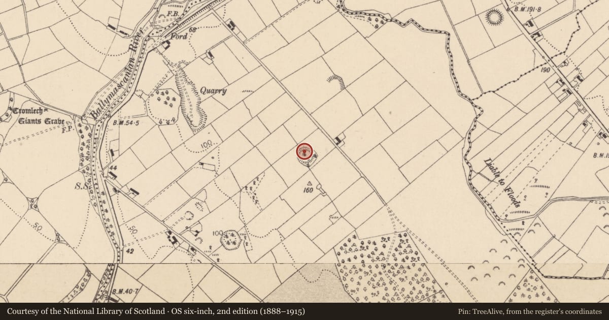 Ordnance Survey six-inch map, 2nd edition (1888–1915) covering the location of Ringfort - rath, Bellurgan (Dundalk Lwr by, County Louth, with a pin at the register's coordinates