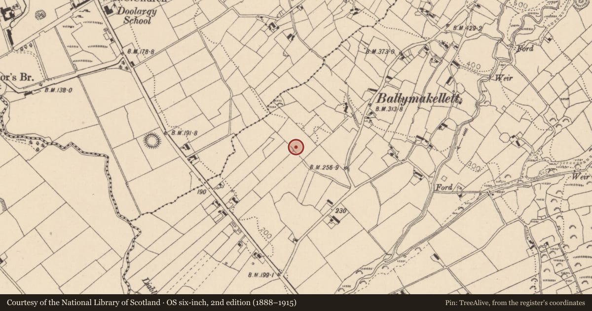 Ordnance Survey six-inch map, 2nd edition (1888–1915) covering the location of Souterrain, Ballymakellett, County Louth, with a pin at the register's coordinates