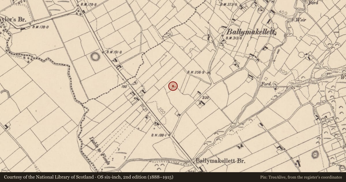 Ordnance Survey six-inch map, 2nd edition (1888–1915) covering the location of Megalithic tomb - court tomb, Ballymakellett, County Louth, with a pin at the register's coordinates