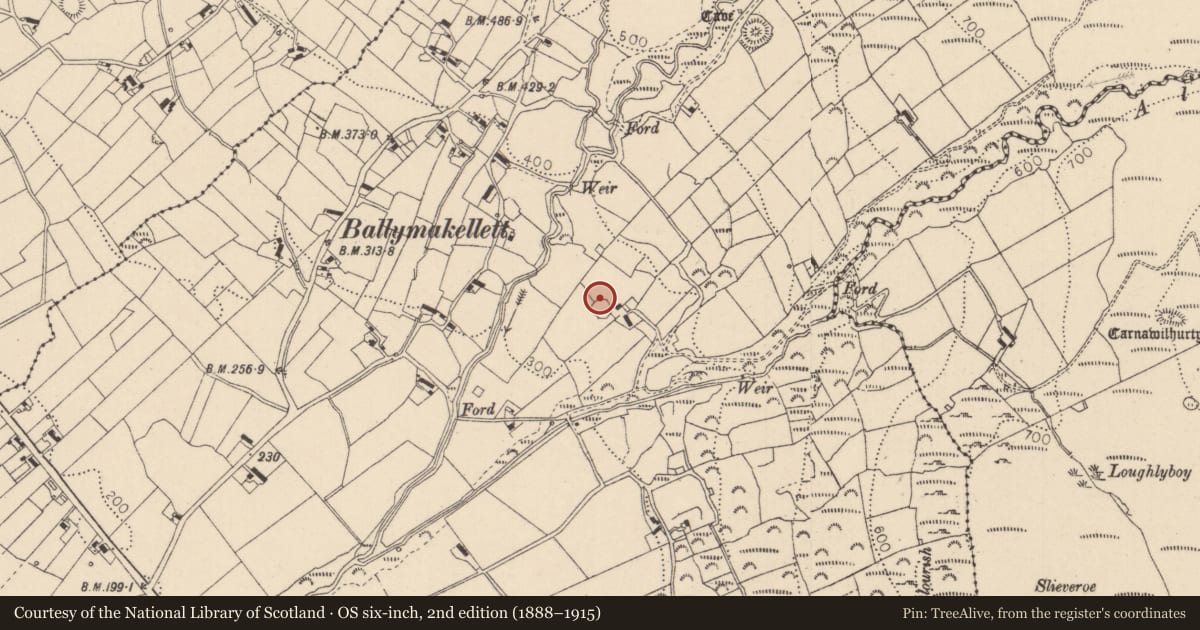 Ordnance Survey six-inch map, 2nd edition (1888–1915) covering the location of Ringfort - rath, Ballymakellett, County Louth, with a pin at the register's coordinates