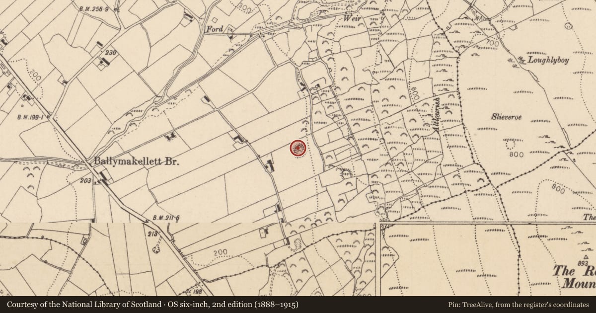Ordnance Survey six-inch map, 2nd edition (1888–1915) covering the location of Ringfort - rath, Ballymakellett, County Louth, with a pin at the register's coordinates