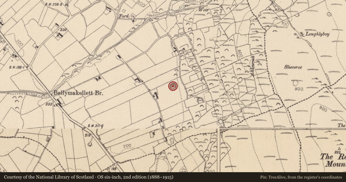 Ordnance Survey six-inch map, 2nd edition (1888–1915) covering the location of Hut site, Ballymakellett, County Louth, with a pin at the register's coordinates