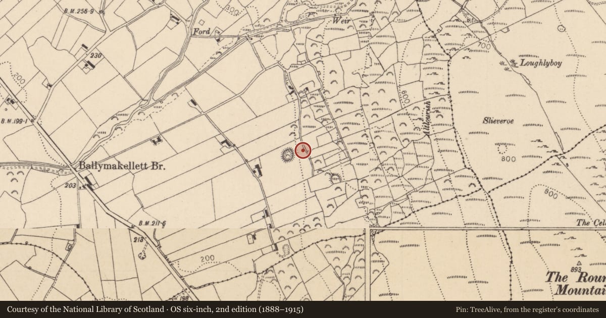 Ordnance Survey six-inch map, 2nd edition (1888–1915) covering the location of Earthwork, Ballymakellett, County Louth, with a pin at the register's coordinates
