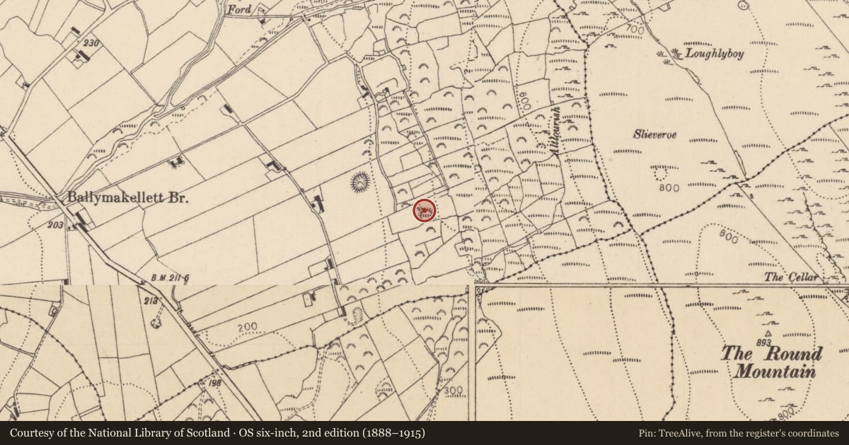 Ordnance Survey six-inch map, 2nd edition (1888–1915) covering the location of Ringfort - rath, Ballymakellett, County Louth, with a pin at the register's coordinates