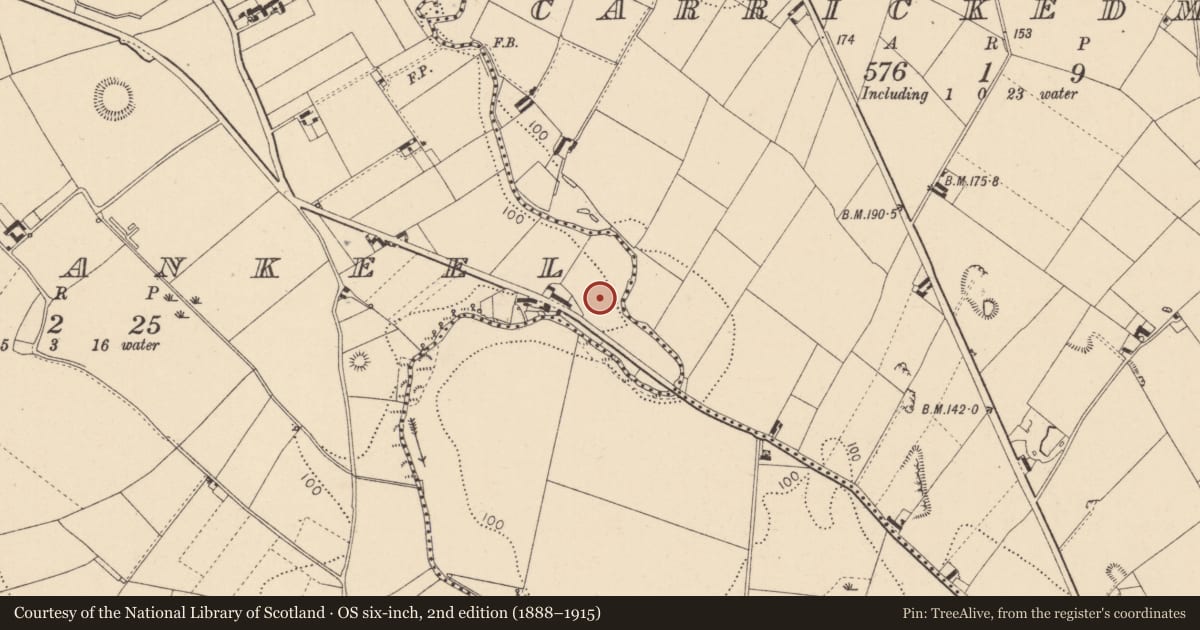 Ordnance Survey six-inch map, 2nd edition (1888–1915) covering the location of Cairn - unclassified, Lurgankeel, County Louth, with a pin at the register's coordinates