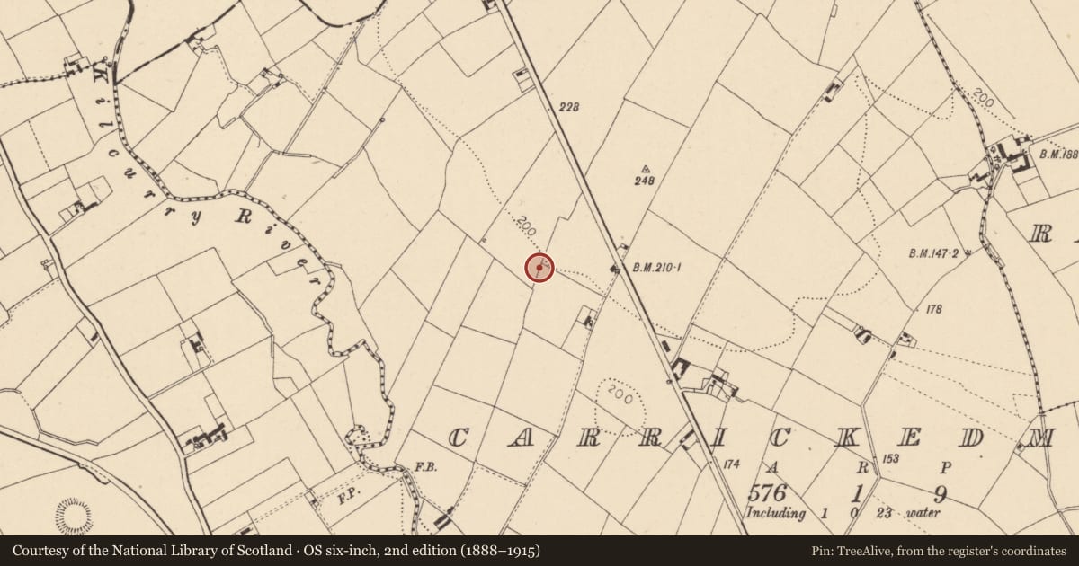 Ordnance Survey six-inch map, 2nd edition (1888–1915) covering the location of Stone row, Carrickedmond, County Louth, with a pin at the register's coordinates