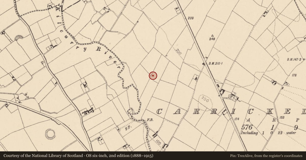 Ordnance Survey six-inch map, 2nd edition (1888–1915) covering the location of Hut site, Carrickedmond, County Louth, with a pin at the register's coordinates
