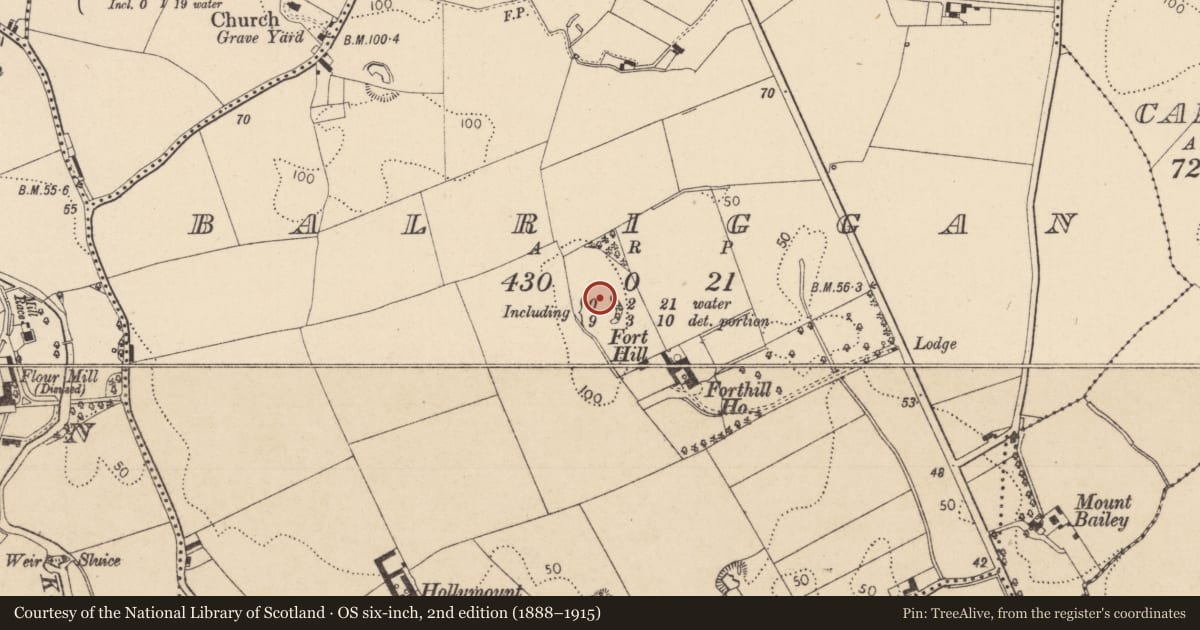 Ordnance Survey six-inch map, 2nd edition (1888–1915) covering the location of Enclosure, Balriggan, County Louth, with a pin at the register's coordinates
