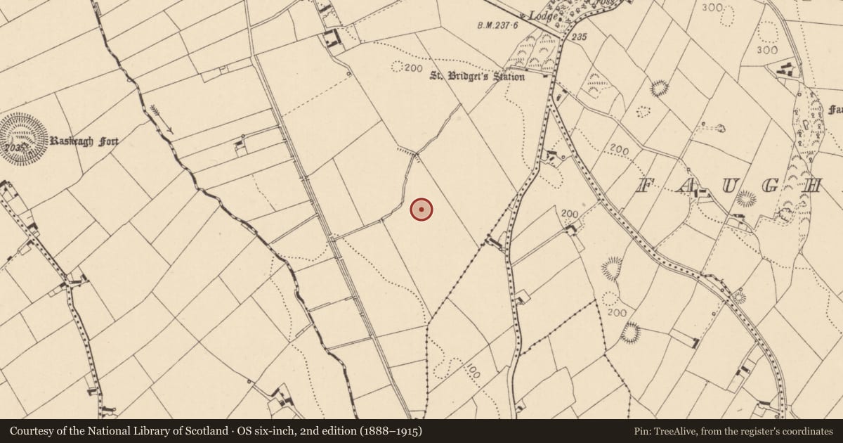 Ordnance Survey six-inch map, 2nd edition (1888–1915) covering the location of Enclosure, Monascreebe, County Louth, with a pin at the register's coordinates