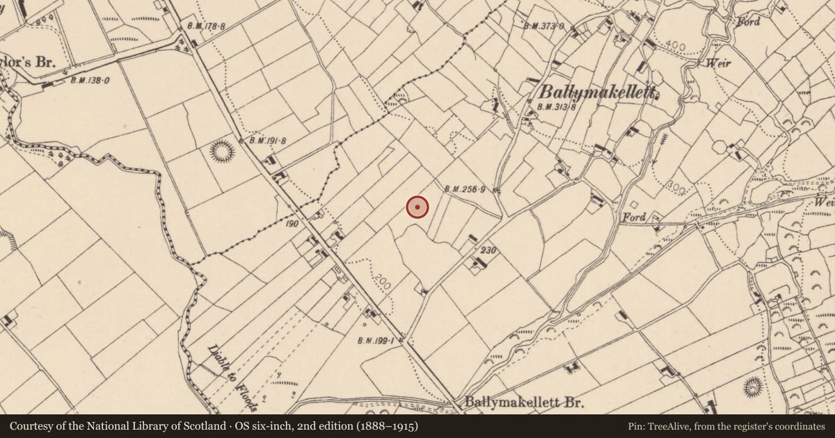 Ordnance Survey six-inch map, 2nd edition (1888–1915) covering the location of Standing stone, Ballymakellett, County Louth, with a pin at the register's coordinates