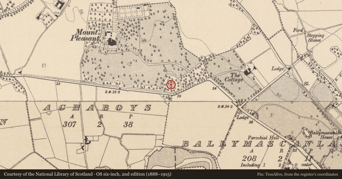 Ordnance Survey six-inch map, 2nd edition (1888–1915) covering the location of Enclosure, Aghaboys, County Louth, with a pin at the register's coordinates