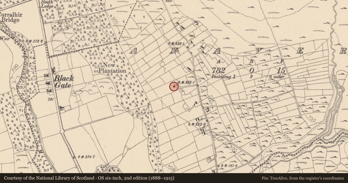 Ordnance Survey six-inch map, 2nd edition (1888–1915) covering the location of Sweathouse, Anaverna, County Louth, with a pin at the register's coordinates