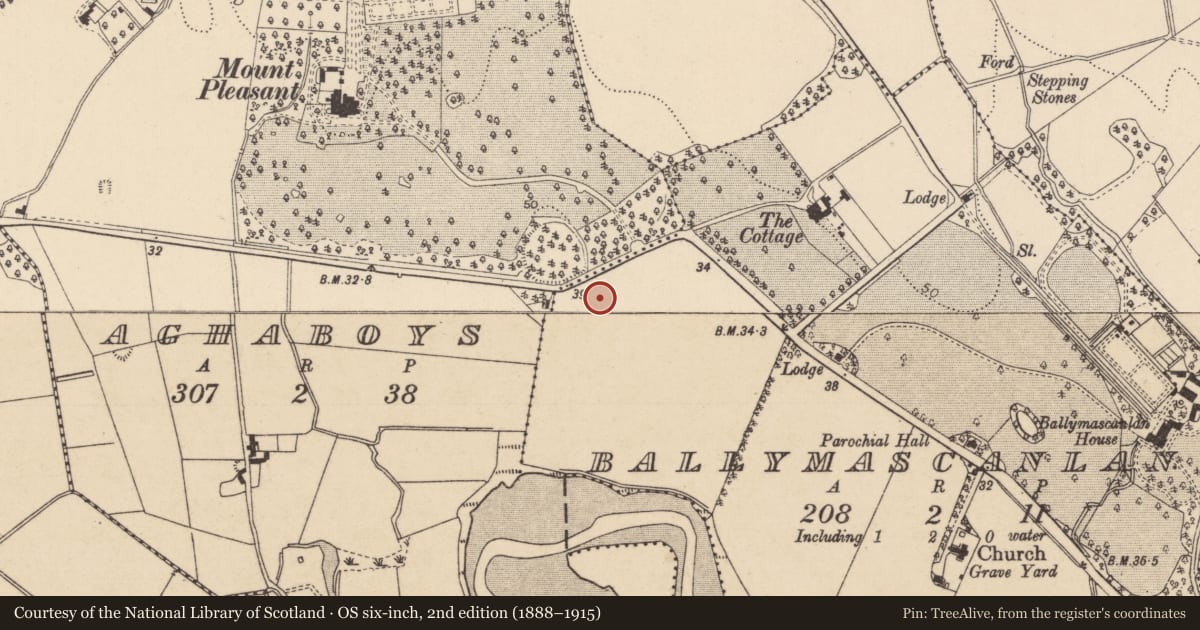 Ordnance Survey six-inch map, 2nd edition (1888–1915) covering the location of Ringfort - rath, Ballymascanlan, County Louth, with a pin at the register's coordinates