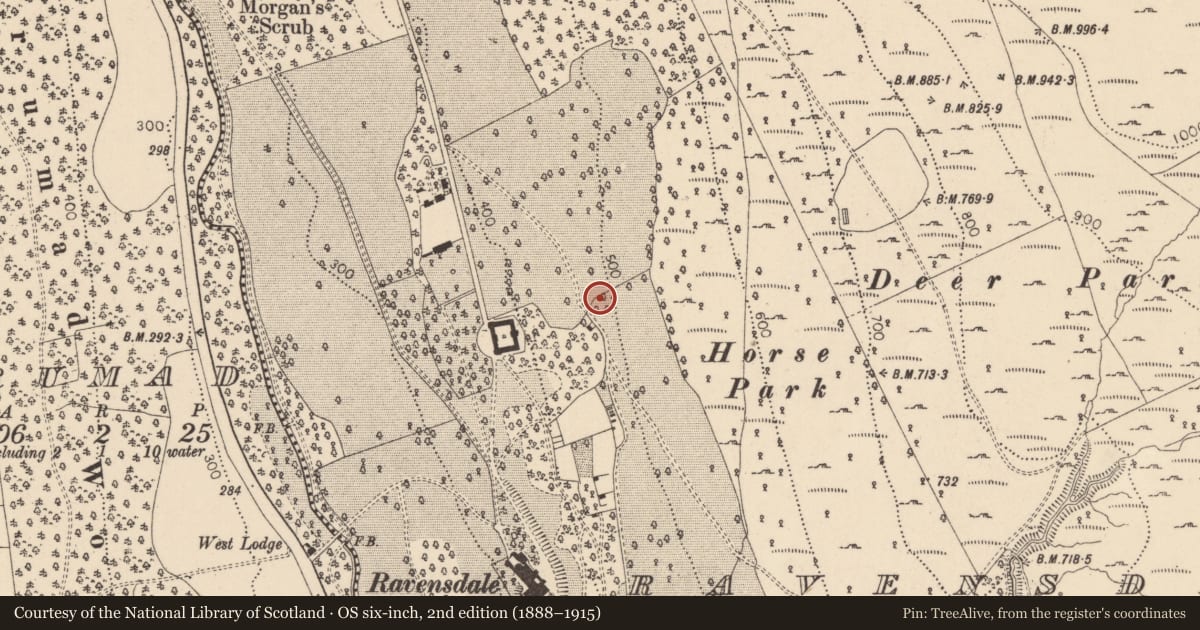 Ordnance Survey six-inch map, 2nd edition (1888–1915) covering the location of Megalithic tomb - court tomb, Ravensdale Park, County Louth, with a pin at the register's coordinates