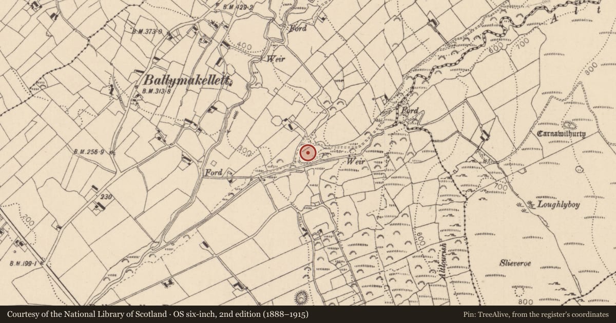 Ordnance Survey six-inch map, 2nd edition (1888–1915) covering the location of Souterrain, Ballymakellett, County Louth, with a pin at the register's coordinates