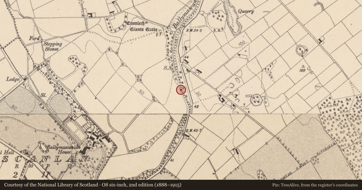 Ordnance Survey six-inch map, 2nd edition (1888–1915) covering the location of Souterrain, Bellurgan (Dundalk Lwr by, County Louth, with a pin at the register's coordinates