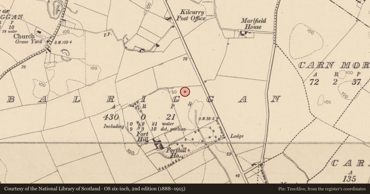 Ordnance Survey six-inch map, 2nd edition (1888–1915) covering the location of Burial ground, Balriggan, County Louth, with a pin at the register's coordinates