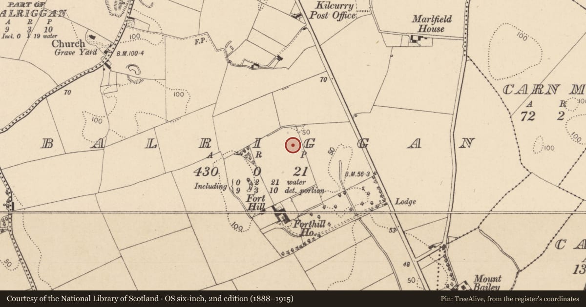 Ordnance Survey six-inch map, 2nd edition (1888–1915) covering the location of Field system, Balriggan, County Louth, with a pin at the register's coordinates
