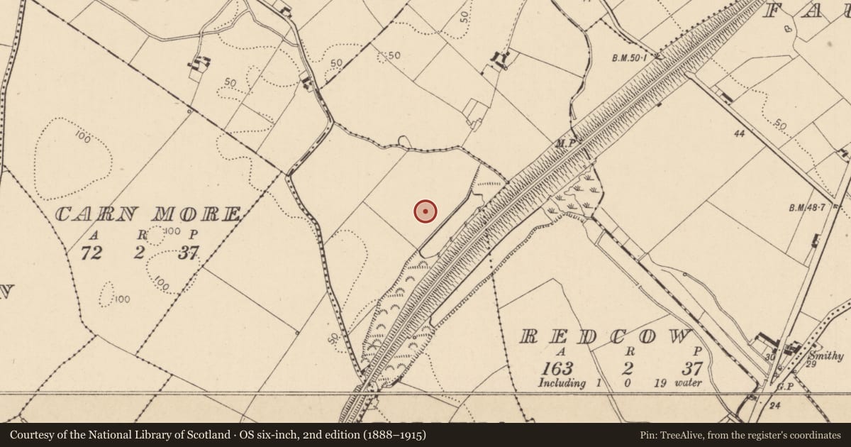 Ordnance Survey six-inch map, 2nd edition (1888–1915) covering the location of Cairn - burial cairn, Ballynahattin, County Louth, with a pin at the register's coordinates