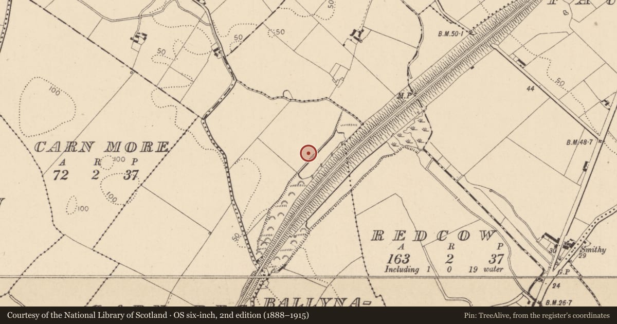 Ordnance Survey six-inch map, 2nd edition (1888–1915) covering the location of Barrow - embanked barrow, Ballynahattin, County Louth, with a pin at the register's coordinates