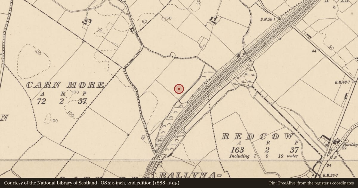 Ordnance Survey six-inch map, 2nd edition (1888–1915) covering the location of Barrow - ring-barrow, Ballynahattin, County Louth, with a pin at the register's coordinates