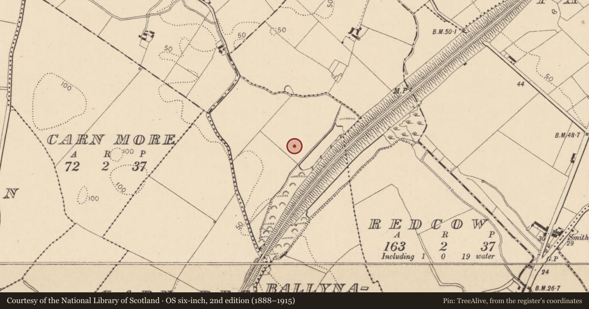 Ordnance Survey six-inch map, 2nd edition (1888–1915) covering the location of Barrow - ring-barrow, Ballynahattin, County Louth, with a pin at the register's coordinates