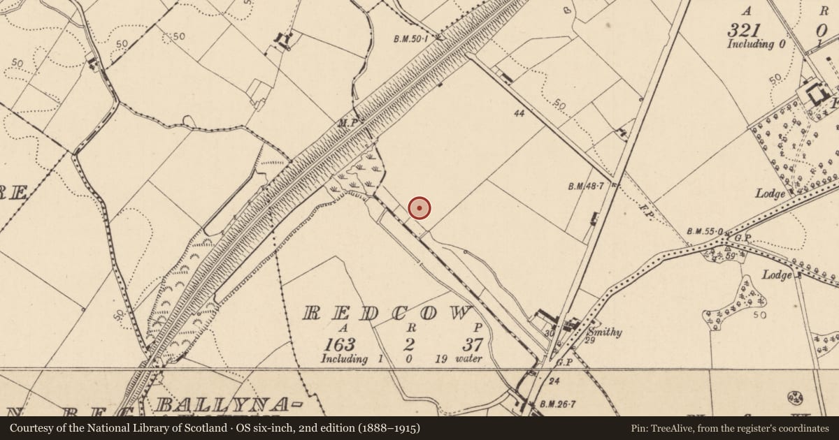 Ordnance Survey six-inch map, 2nd edition (1888–1915) covering the location of Fulacht fia, Faughart Lower, County Louth, with a pin at the register's coordinates