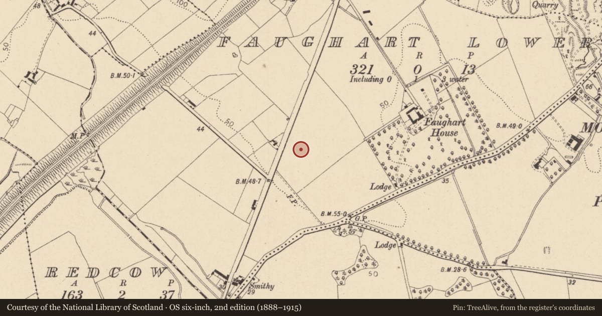 Ordnance Survey six-inch map, 2nd edition (1888–1915) covering the location of Habitation site, Faughart Lower, County Louth, with a pin at the register's coordinates